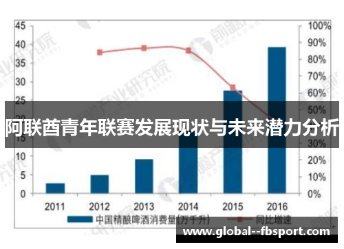 阿联酋青年联赛发展现状与未来潜力分析